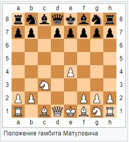 Matulović01 (256x281, 74Kb)