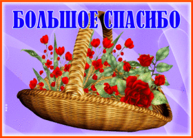 zazigatelnaya-otkrytka-s-korzinoi-cvetov-bolsoe-spasibo-158169 (280x200, 825Kb)