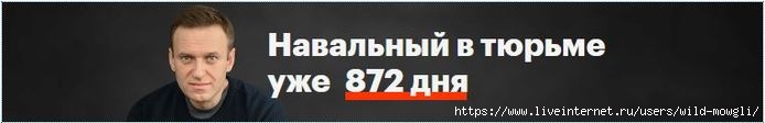7399830_Capture_Navalny20230609 (700x112, 39Kb)