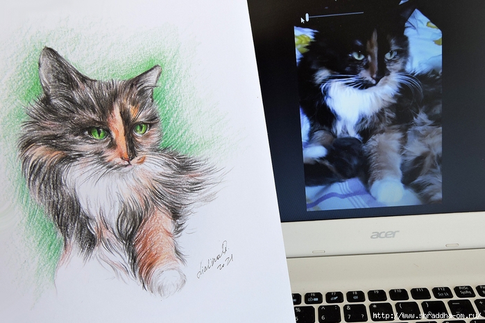 кошка из Сибири, художник Ольга Лялина, ShraddhaArt 2021(5) (700x466, 258Kb)