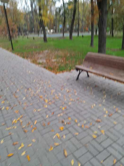 IMG-20221010-WA0001 (525x700, 27Kb)
