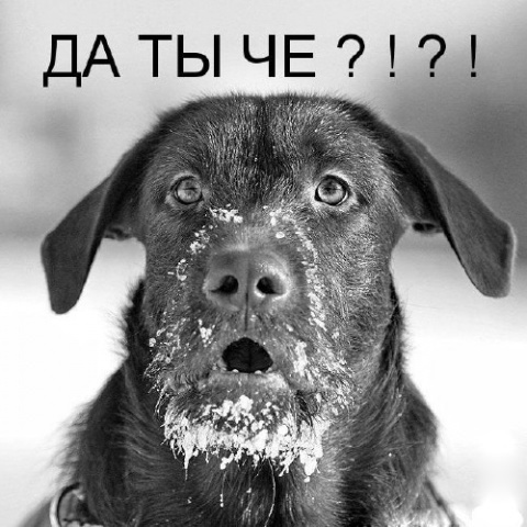original (1) (480x480, 96Kb)