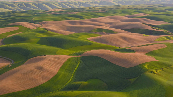 Interesting patterns and evening light on colorful rolling wheat fields, Washington State, USA (700x393, 308Kb)