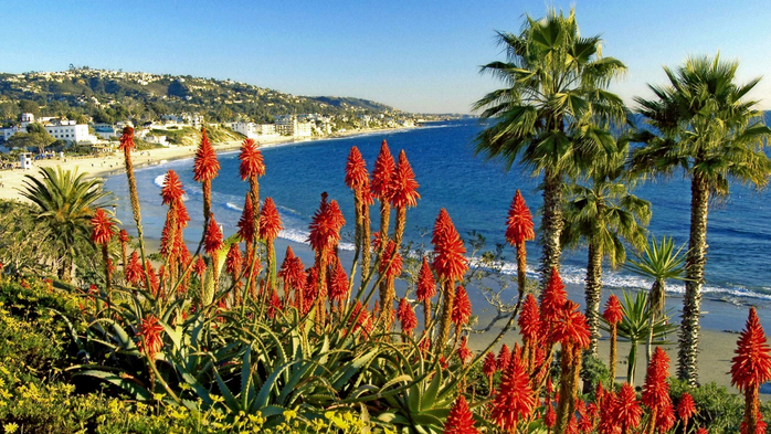 Laguna Beach Landscape, California (700x393, 478Kb)