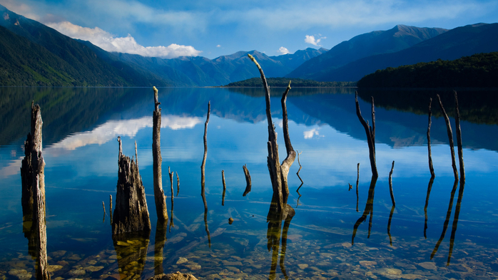 Lake Monowai, Fiordland National Park, Southland, South Island, New Zealand (700x393, 356Kb)