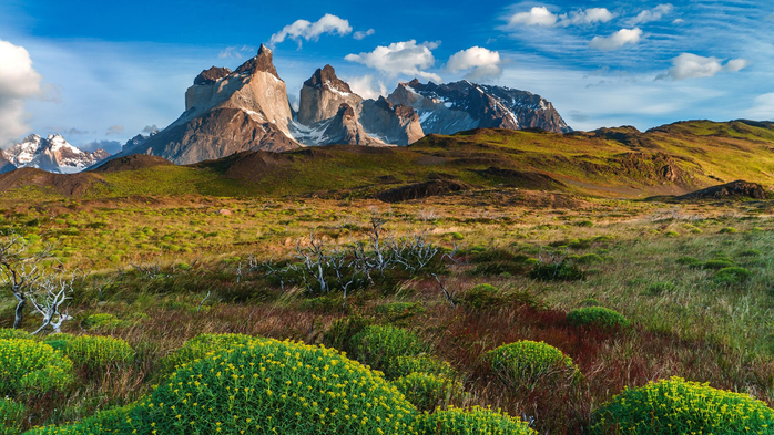 Landscape at Lago Pehoé lake, National Park Torres del Paine in southern Chile (700x393, 461Kb)