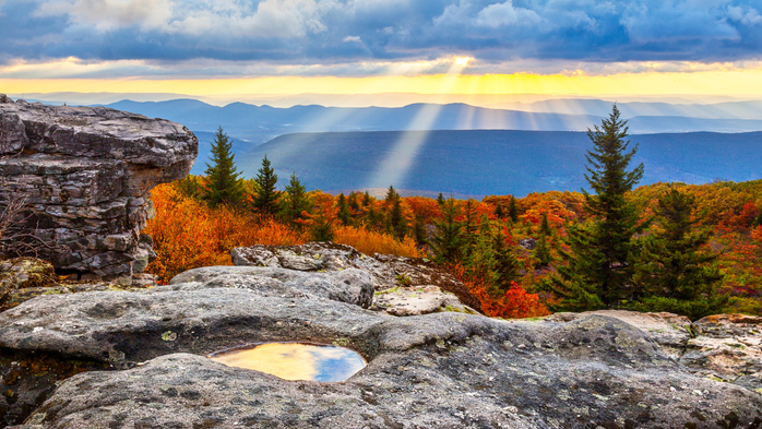 Last lingering rays at sunrise, Dolly Sods Wilderness, West Virginia, USA (700x393, 473Kb)