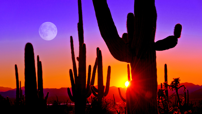 Sunset at Saguaro National Park near Tucson, Arizona, USA (700x393, 284Kb)
