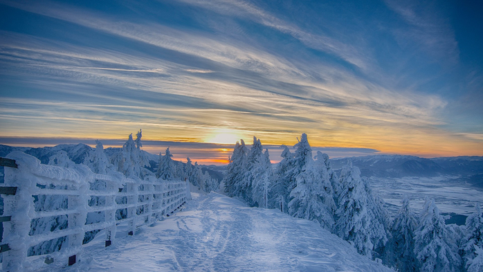 Sunset in winter forest, Poiana Brasov ski resort, Romania (700x393, 319Kb)