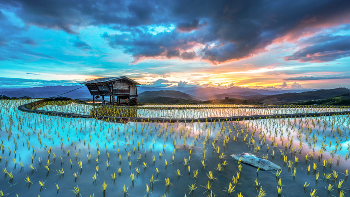 Sunset on rice terraces, Mae Jam, Chiang Mae, Thailand (700x393, 420Kb)