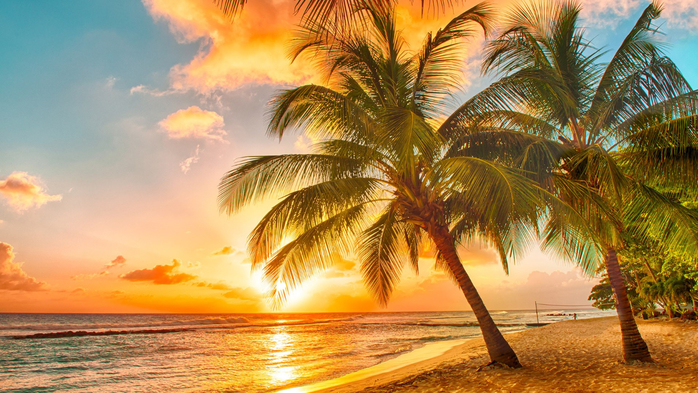Sunset over the sea on a Caribbean island of Barbados, view at palms on the white beach, Caribbean (700x393, 445Kb)