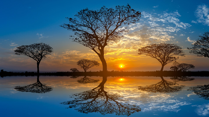 Sunset with acacia trees in Masai Mara, Kenya (700x393, 338Kb)