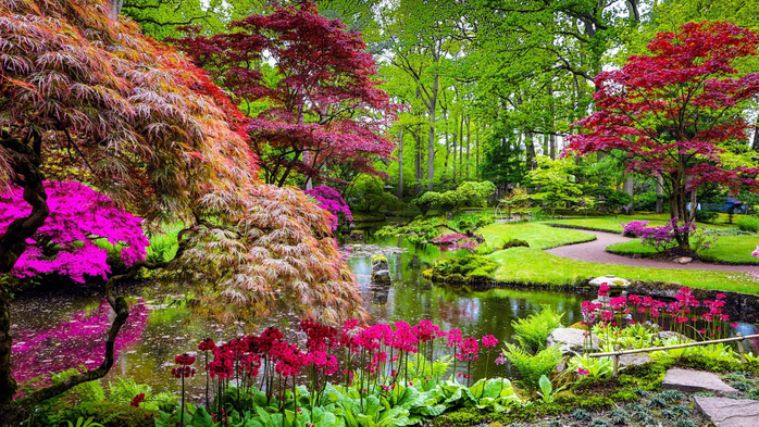 Traditional Japanese Garden in Clingendael Park, The Hague, Netherlands (700x393, 557Kb)