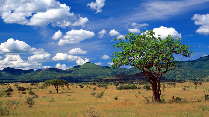 Tsavo West National Park, Kenya (700x393, 394Kb)