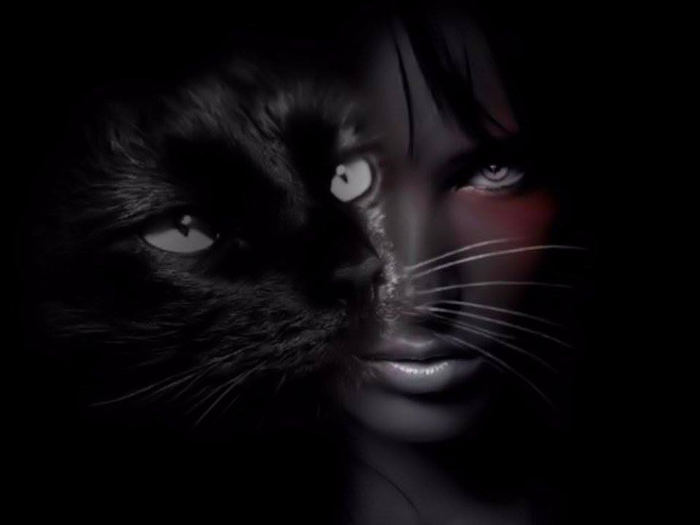  (5) (700x525, 88Kb)