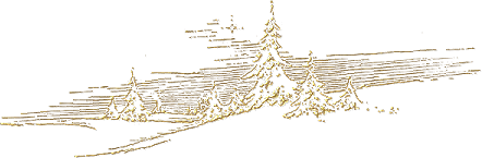 86427809_4287072_843506bdc5 (442x145, 54Kb)