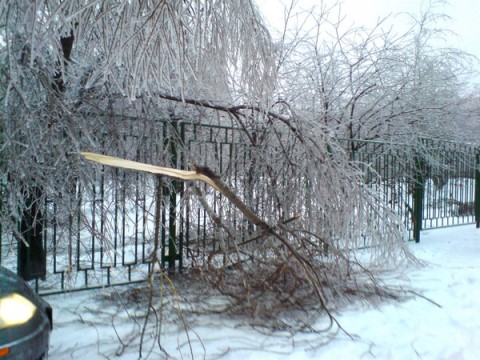   -3 (480x360, 77Kb)
