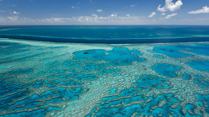 Coral reefs in blue Pacific waters, Great Barrier Reef, Australia (700x393, 392Kb)