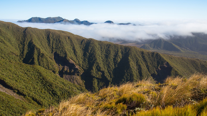 Egmont National Park landscape view in Taranaki region of New Zealand (700x393, 389Kb)