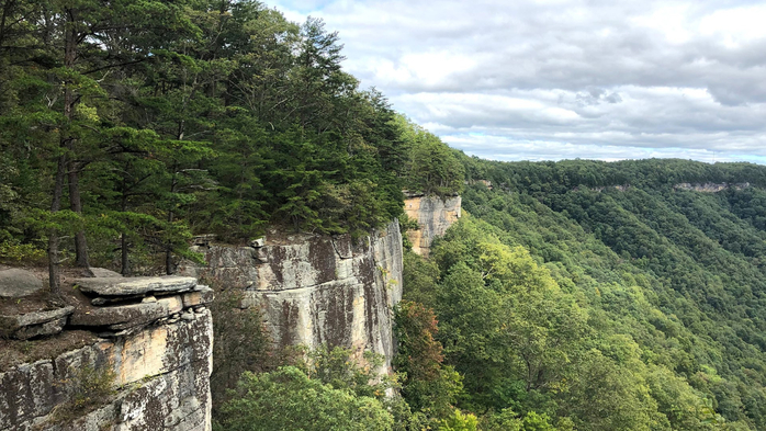 Endless Wall Trail in New River Gorge national park, Lansing, West Virginia, USA (700x393, 373Kb)