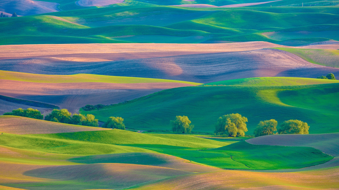 Farmland in Palouse region of Washington State from Steptoe Butte in spring, USA (700x393, 371Kb)