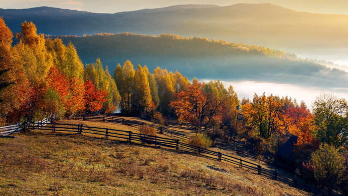 Field and orchard in autumn at sunrise, mountainous countryside with fog in distant (700x393, 449Kb)