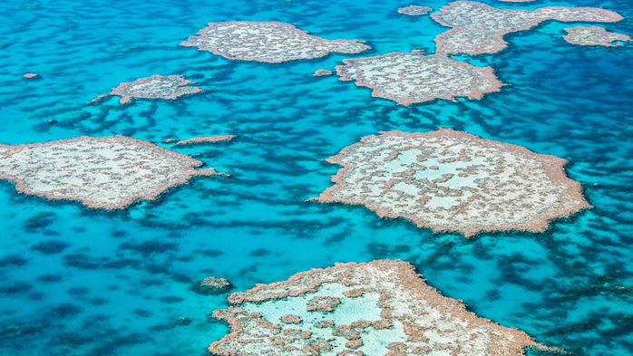 Great Barrier Reef aerial view, Australia (700x393, 417Kb)