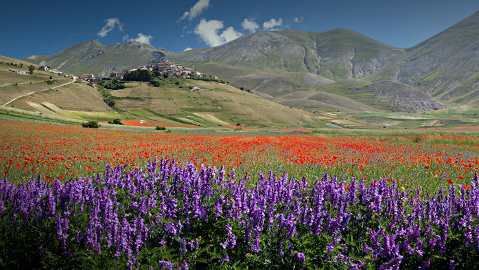 Landscape with Castelluccio di Norcia and flowering, Perugia, Italy (700x393, 466Kb)