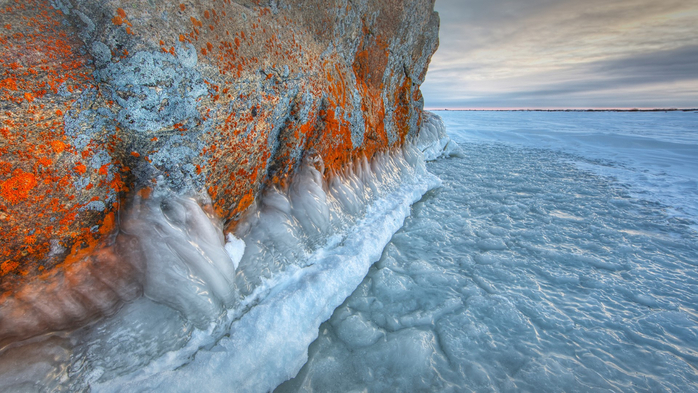 Lichen covered rock in a frozen lake, Hudsons Bay, Manitoba, Canada (700x393, 413Kb)