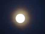 Превью DSCN9499 (700x525, 275Kb)