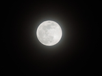 Превью DSCN9543 (700x525, 161Kb)