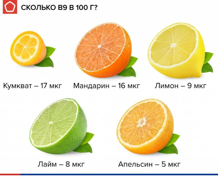 цитр3 (700x571, 236Kb)