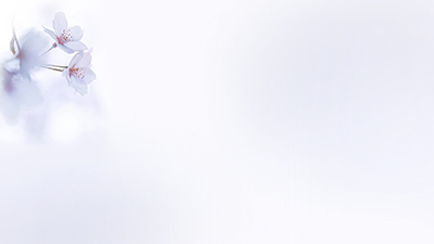 5 (400x225, 20Kb)