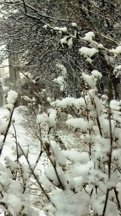 _2023-11-26_175755782 (393x700, 553Kb)