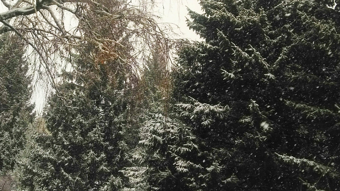 _2023-11-26_180055722 (700x393, 611Kb)