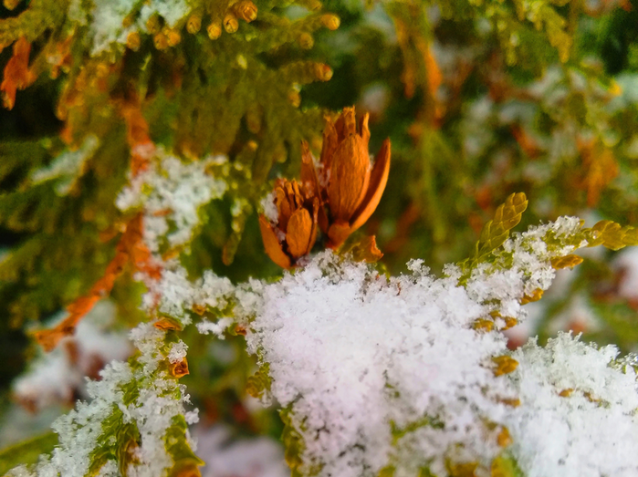 _2023-11-26_180224092 (700x523, 568Kb)