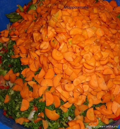 Салат из зеленых помидор с морковкой (10) (499x536, 337Kb)