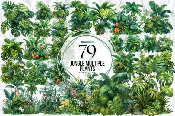 Jungle-Multiple-Plants-Clipart-Graphics (580x387, 173Kb)