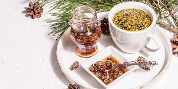 pine-needle-tea-sollip-cha-traditional-korean-beverage-pine-cone-jam-alternative-medicine-healthy-life-style-white-putty-background-copy-space (600x301, 141Kb)