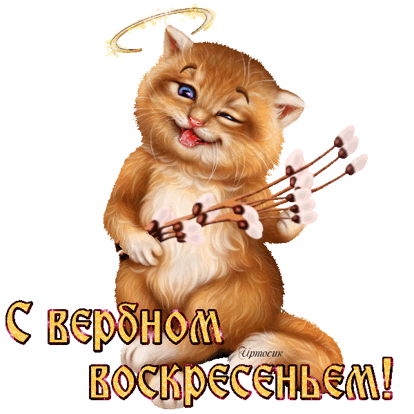 к2 (600x600, 341Kb)