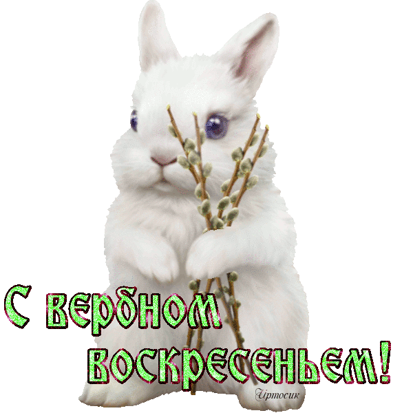 к3 (600x600, 192Kb)