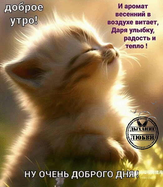  (523x600, 2080Kb)