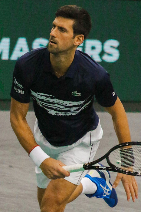 Djokovic 2019 (466x700, 349Kb)