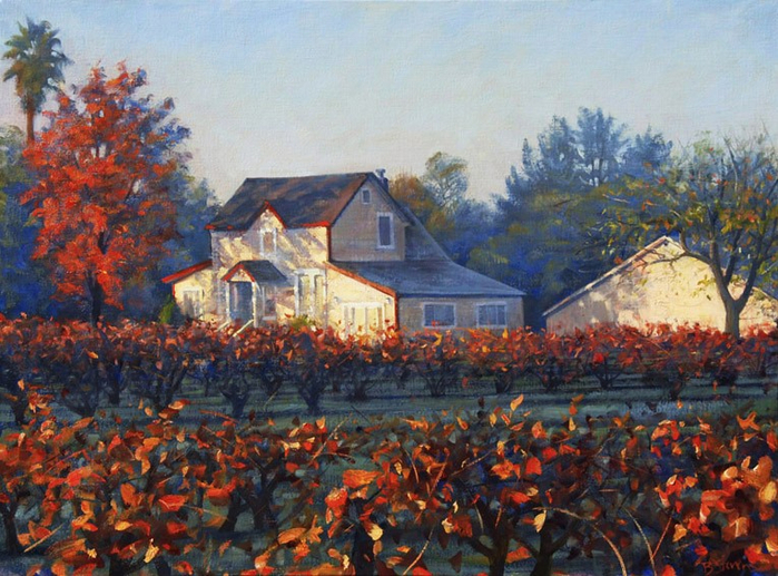 vineyard-morning (700x517, 480Kb)