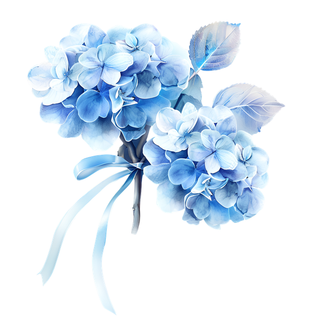 PNG-6 (640x640, 414Kb)