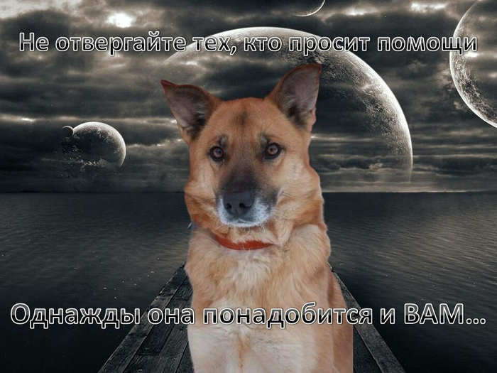 помощь (700x525, 303Kb)