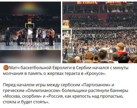 Babk-TG-Serbia-Basketball-skan (528x417, 107Kb)
