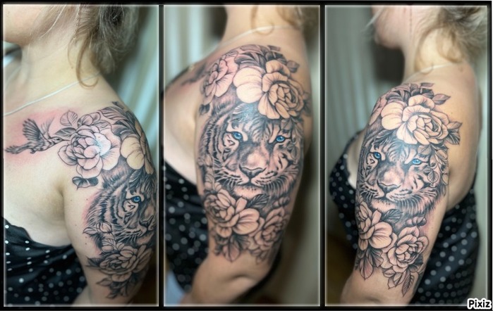 pixiz-31-08-2024-13_01_17 (700x442, 91Kb)