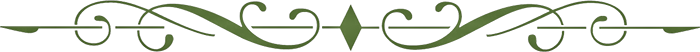 162584727_z47 (2) (700x52, 26Kb)