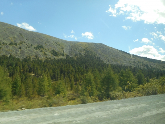 4878453_DSCN5168ha (700x525, 250Kb)